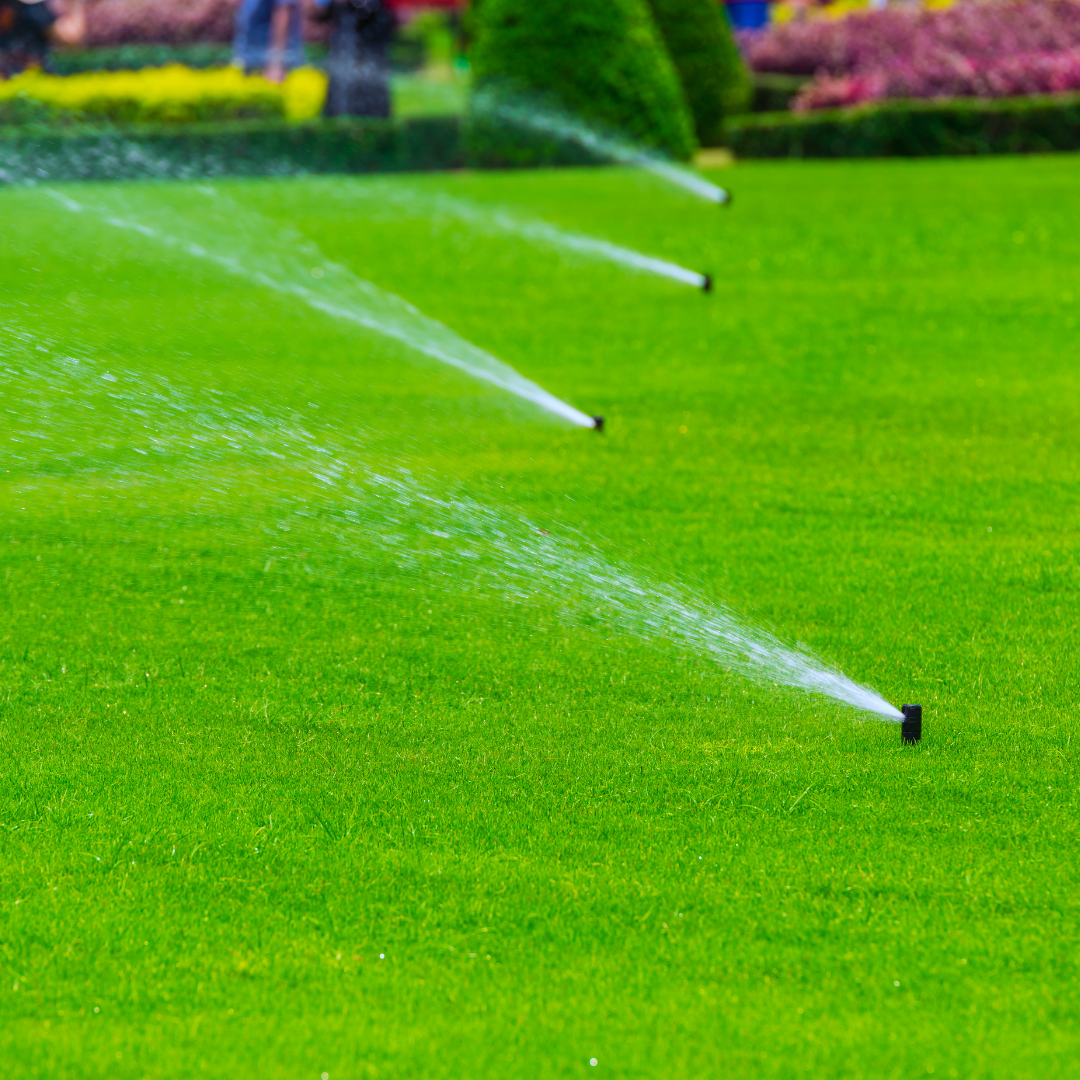 Irrigation & Maintenance